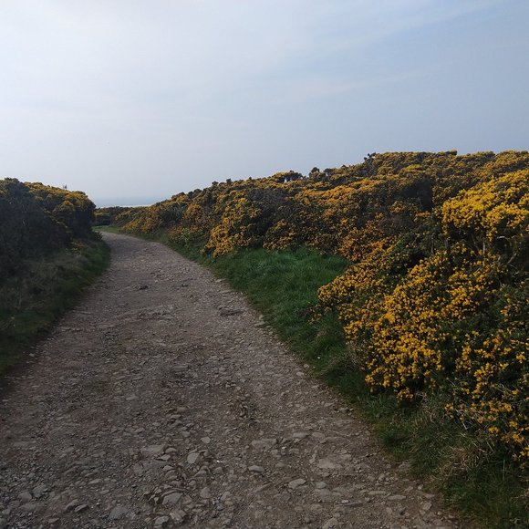 Meet your Posher, Bernadette - Picture 1 of 1